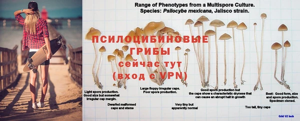 прущие крисы Волосово